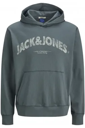 JACK & JONES Jack &Jones Jorameria Sweat Hood Stormy Weather S
