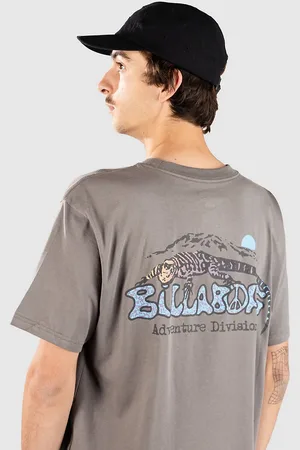 Billabong Lizard Mountain Adiv T-Shirt grijs