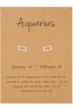 Bixorp Stars Waterman / Aquarius Oorbellen Zilverkleurig Sterrenbeeld - Zodiac Oorknopjes