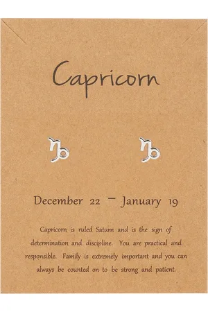 Bixorp Stars Steenbok / Capricorn Oorbellen Zilverkleurig Sterrenbeeld - Zodiac Oorknopjes