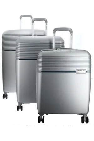 Hedgren Trolley Stripe Nest Set Zilverkleurig 75cm