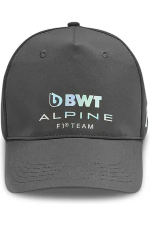 Alpine Men f1 fw cap grey