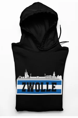Gildan Zwolle- Voetbal Supporters - Heavy blend Hoodie - Maat L