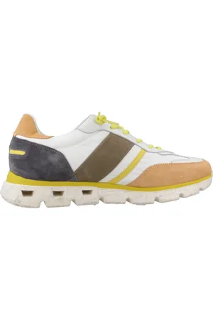 Cetti C1363 41 EU