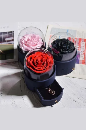Merkloos Eeuwige Bloem + Appelvormige Sieraden Doos + Rose Hartjes Ketting met 