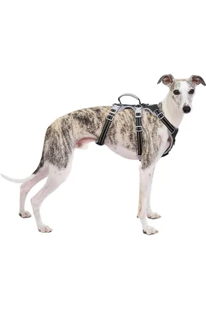 Merkloos Geen Slip Hondenharnas | Escape Proof en Reflecterend | Verstelbaar Vest voor Middelgrote Honden | ZwartM
