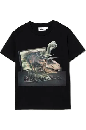Molo Rame dinosaur