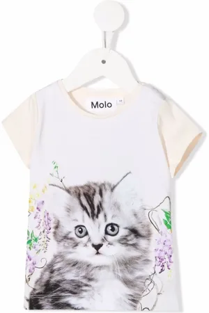 Molo Kitten