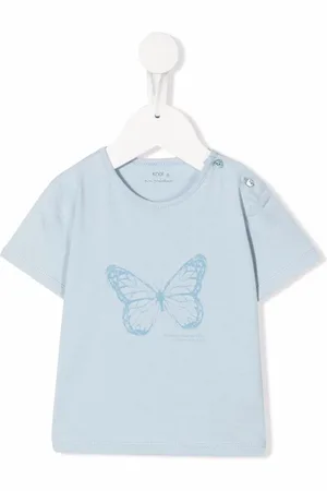 KNOT Butterfly graphic