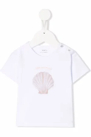 KNOT Shell graphic