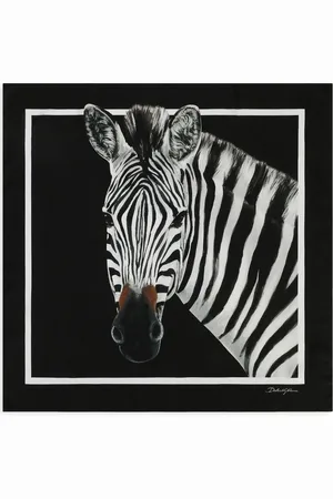Dolce & Gabbana Zebra