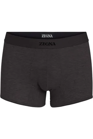 Ermenegildo Zegna Logo