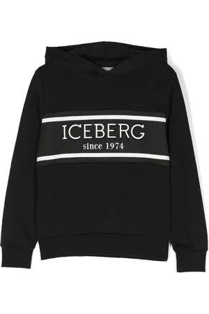 Iceberg Logo