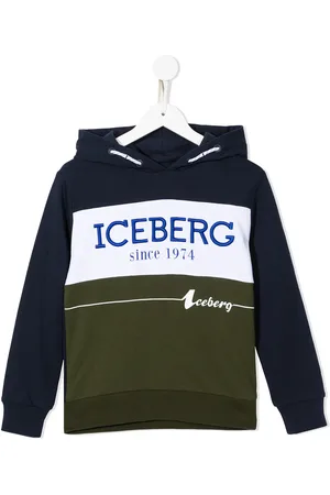 Iceberg Logo