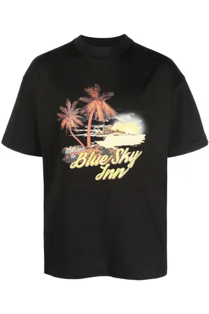 BLUE SKY INN Graphic logo