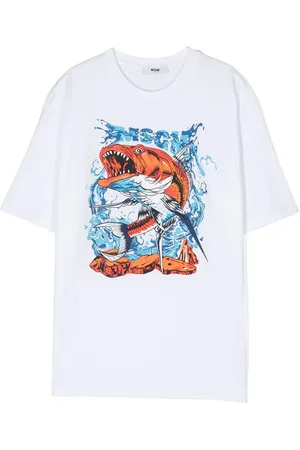 Msgm Graphic
