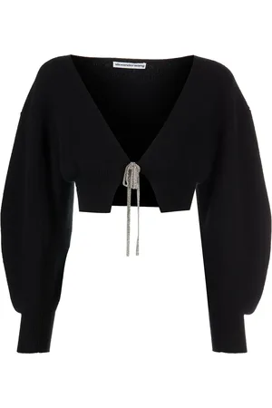 Alexander Wang V