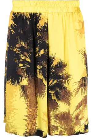 LANEUS Palm