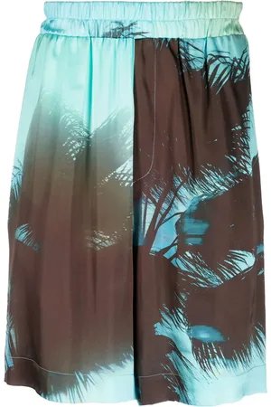 LANEUS Palm tree