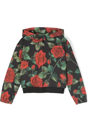 Dolce & Gabbana Rose