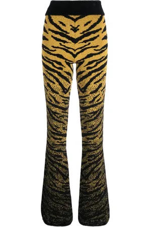 GCDS Zebra