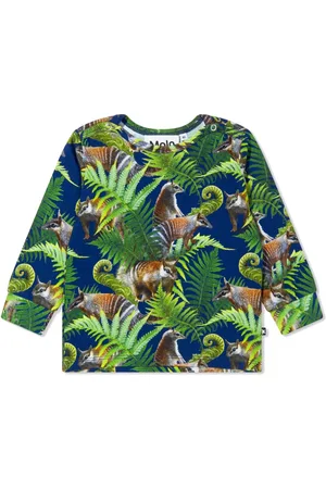 Molo Graphic