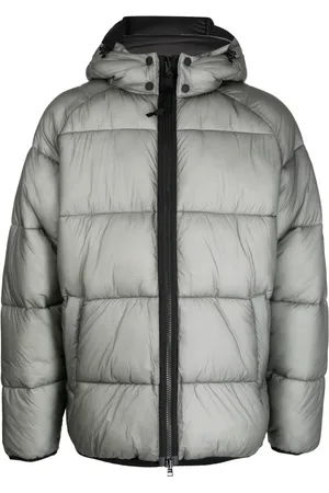 Barbour Driesh logo
