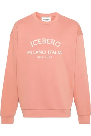 Iceberg Logo