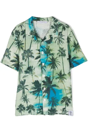 Paolo Pecora Palm tree