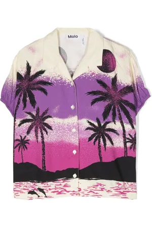 Molo Roses palm