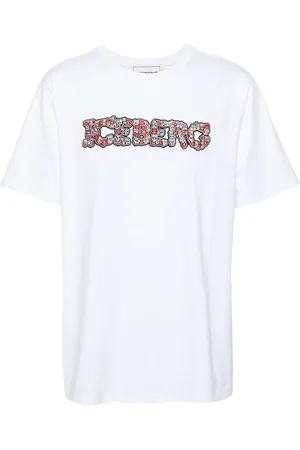 Iceberg 5D logo