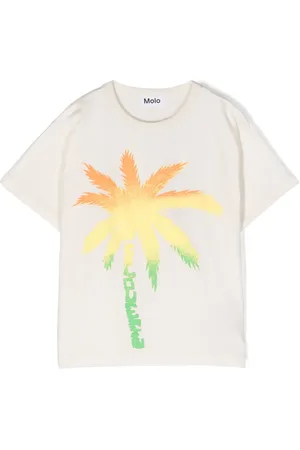 Molo Palm tree