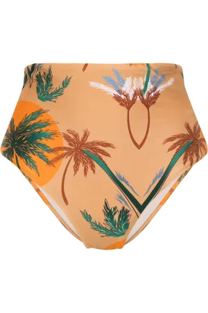 RAQUEL DINIZ Palm