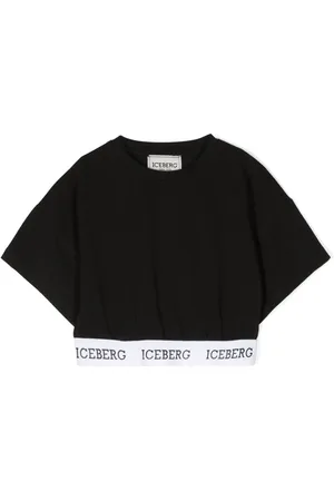 Iceberg Logo