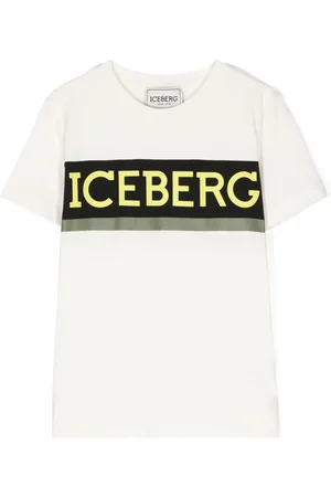Iceberg Logo