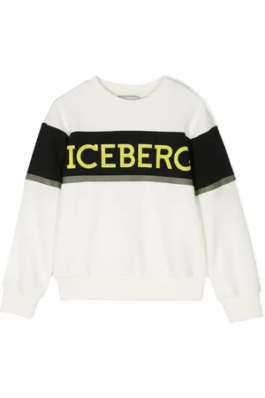 Iceberg Logo
