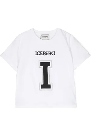 Iceberg Logo