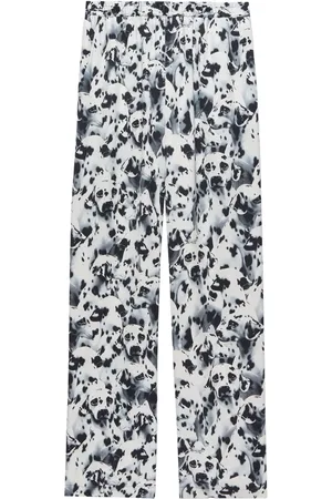 Msgm Dog