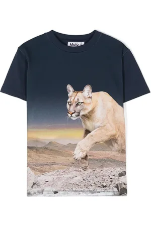 Molo Roxo puma