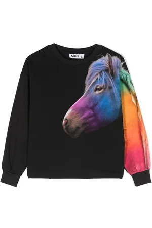 Molo Reniza horse