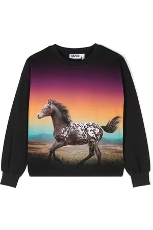 Molo Reniza horse