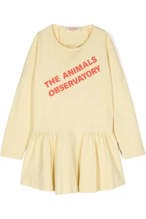 The Animals Observatory Walrus logo