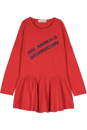 The Animals Observatory Walrus logo