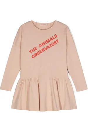 The Animals Observatory Walrus logo
