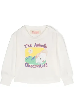 The Animals Observatory Illustration logo