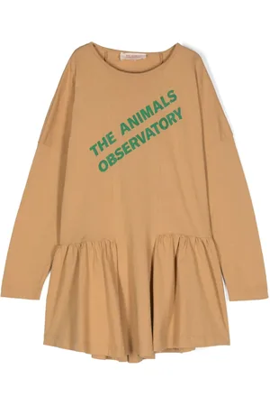 The Animals Observatory Walrus logo