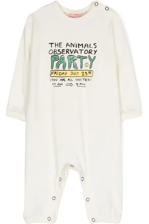 The Animals Observatory Owl text