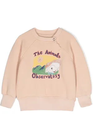 The Animals Observatory Jackal graphic
