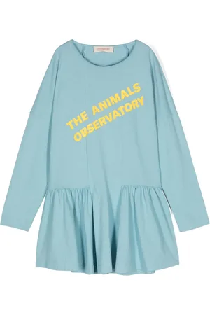 The Animals Observatory Walrus logo