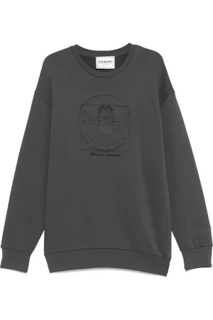 Iceberg Vitruvian Garfield
